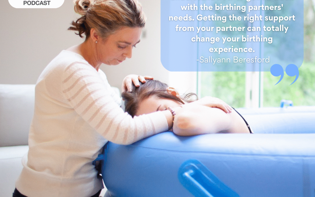 Ep. 339 Birth Work Professional Sallyann Beresford