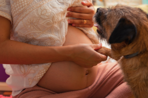 Doggy Doulas